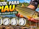 Anzol para Piau