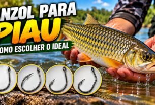 Anzol para Piau